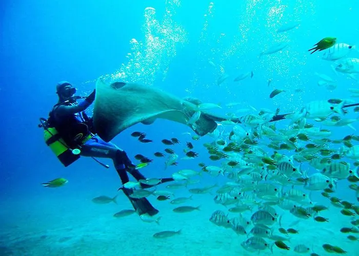 아파트 Ocean View