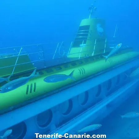 Ocean View Daire San Miguel de Abona