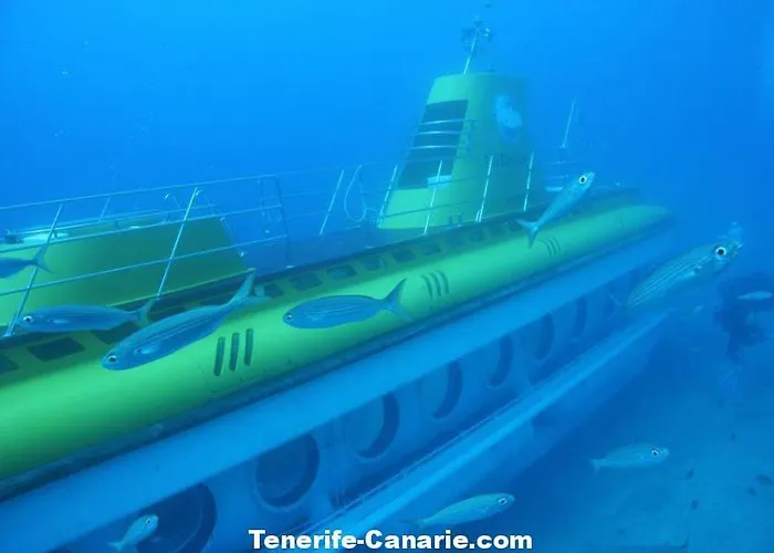 Ocean View Apartment San Miguel de Abona